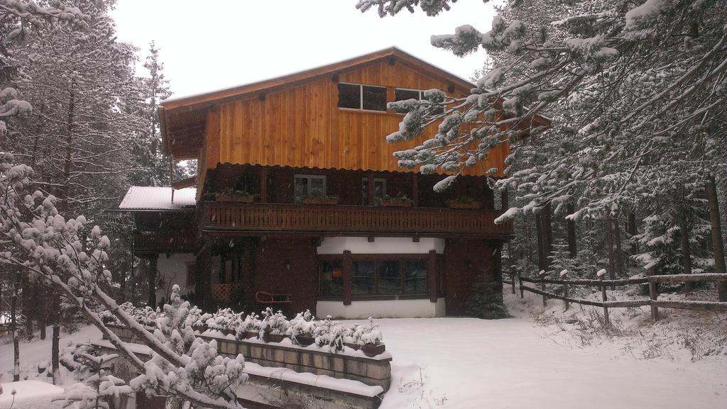 B&B Villa Dolomites Hut St. Vigil Exterior foto